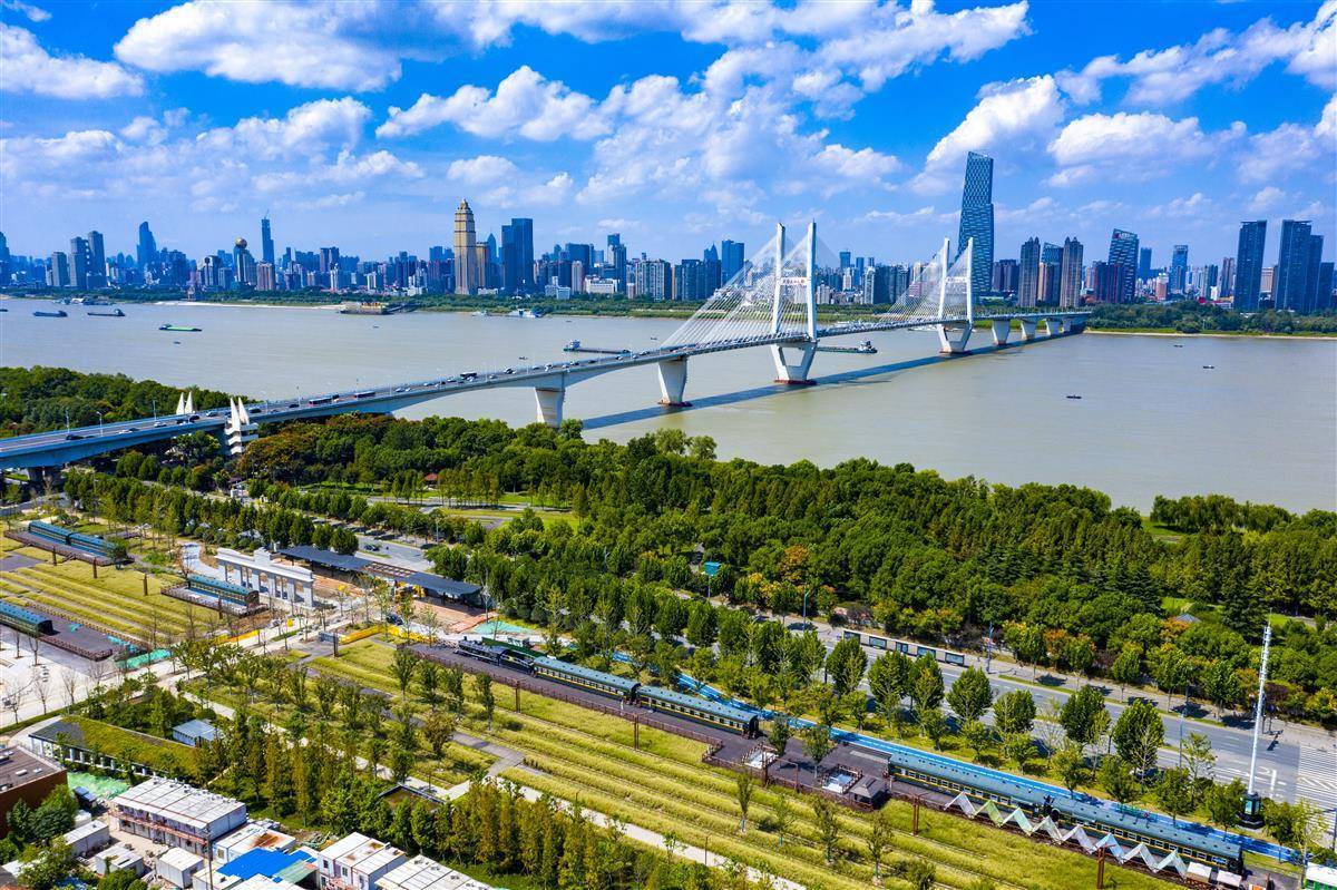 鲨鱼分析软件